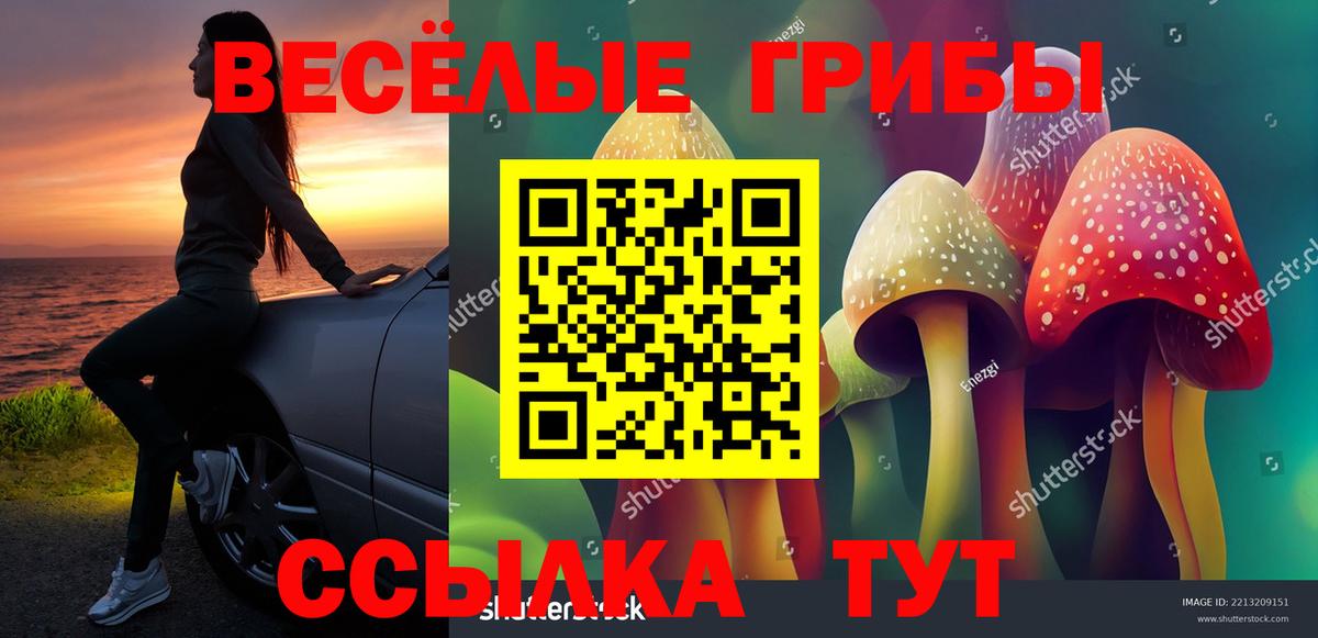 Галлюциногенные грибы Psilocybine cubensis  Вход с VPN  Кострома  Галлюциногенные грибы Magic Shrooms 